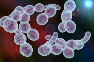 agent causal de la prostatite bactérienne chez les hommes
