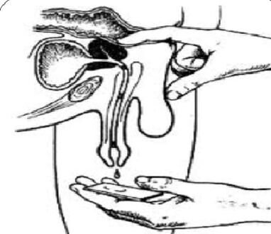 Massage de la prostate pour la décharge.